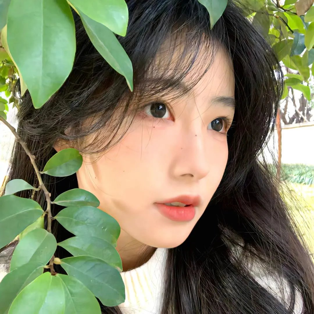 异星智慧